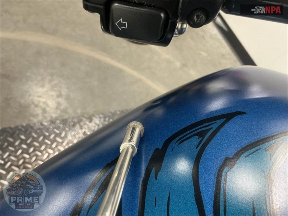 2018 Harley-Davidson FXBRS BREAKOUT 114 ANNIVERSARY — фото 15