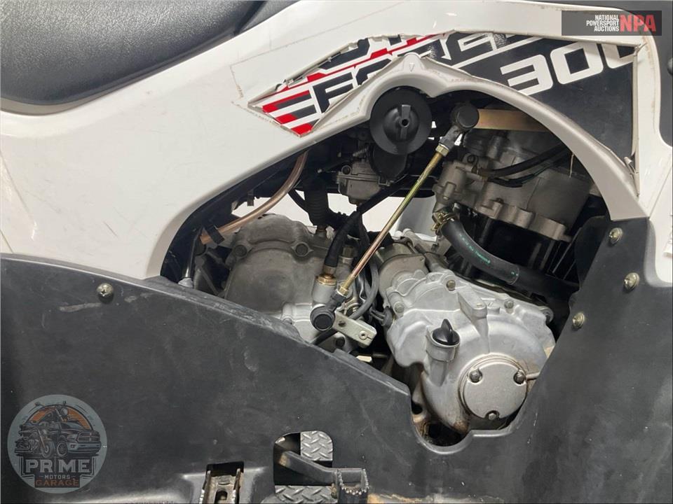 2021 Kawasaki KVF300CMFNN BRUTEFORCE — фото 8