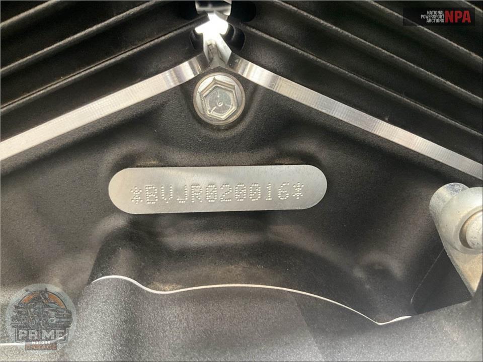 2024 Harley-Davidson FXST SOFTAIL STANDARD — фото 19