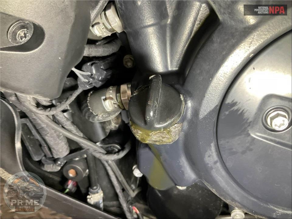 2025 Harley-Davidson RA1250ST PAN AMERICA 1250 ST — фото 10