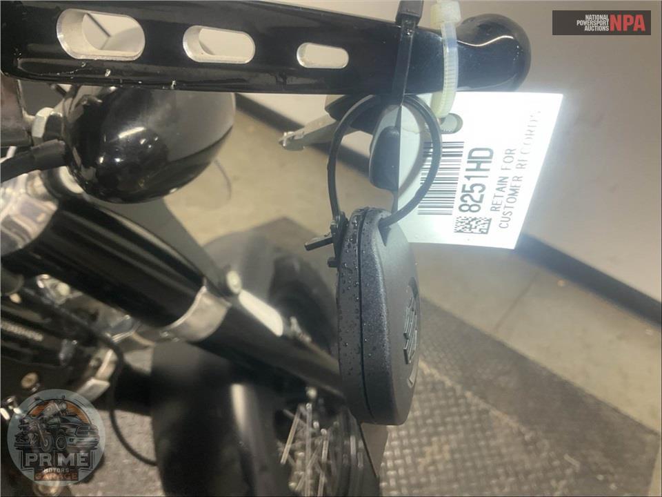 2019 Harley-Davidson FLSL SOFTAIL SLIM — фото 12