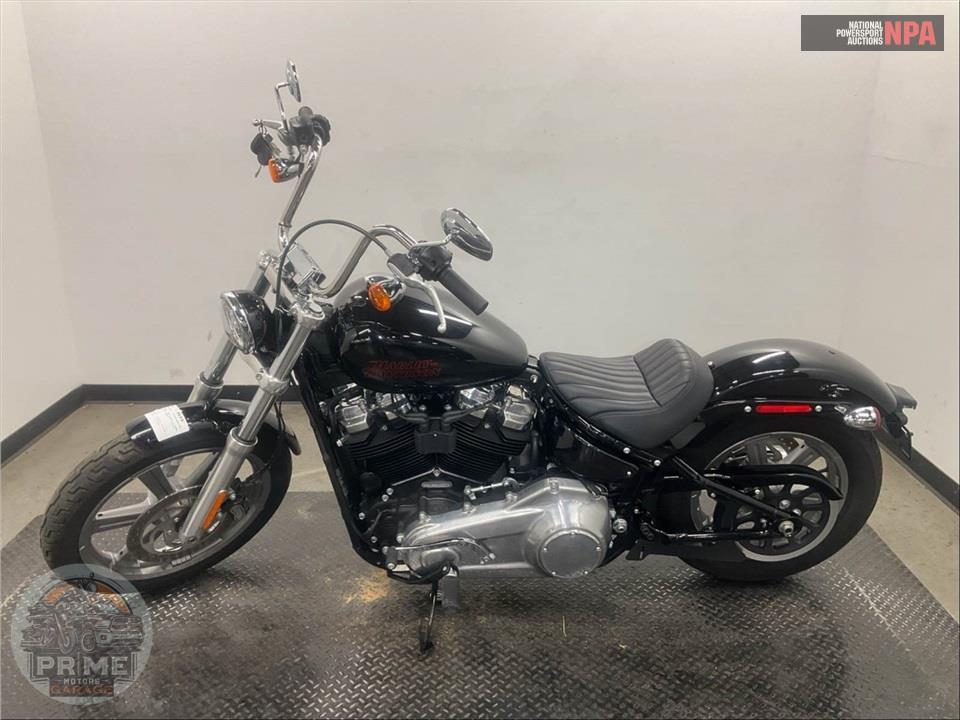 2024 Harley-Davidson FXST SOFTAIL STANDARD — фото 3