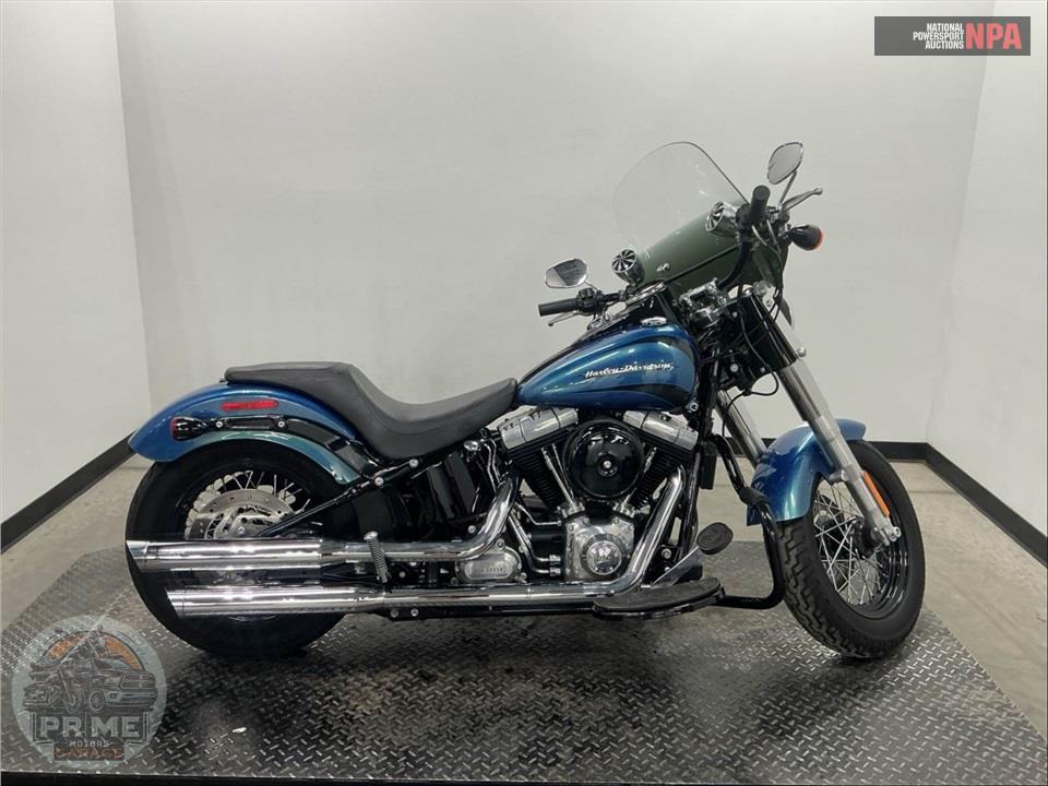 2014 Harley-Davidson FLS SOFTAIL SLIM — фото 1
