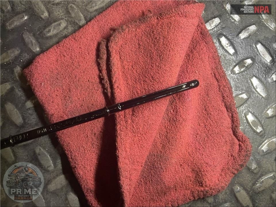 2021 Indian Motorcycle ROADMASTER LIMITED — фото 9