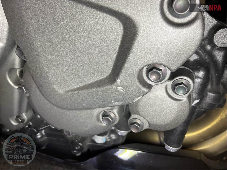 2025 Triumph SPEED TRIPLE 1200 RS — фото 11