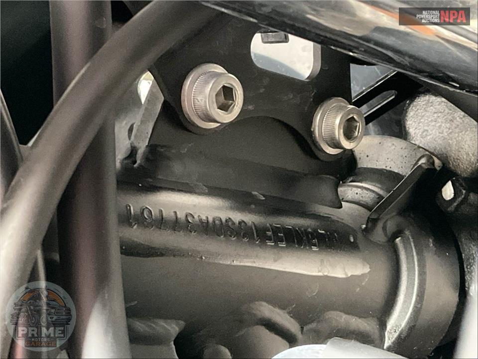 2025 Kawasaki KLR650 ABS — фото 19