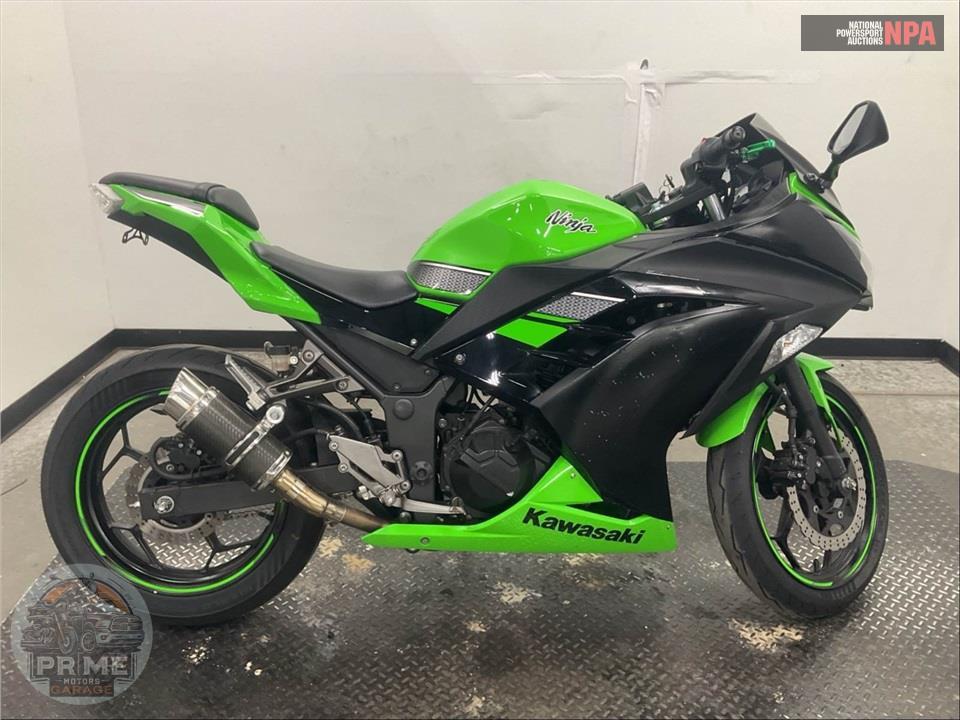 2013 Kawasaki EX300ADF NINJA 300 — фото 1