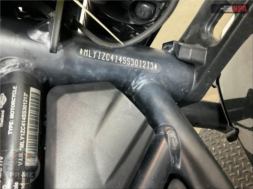 2025 Harley-Davidson RH1250S SPORTSTER S — фото 23