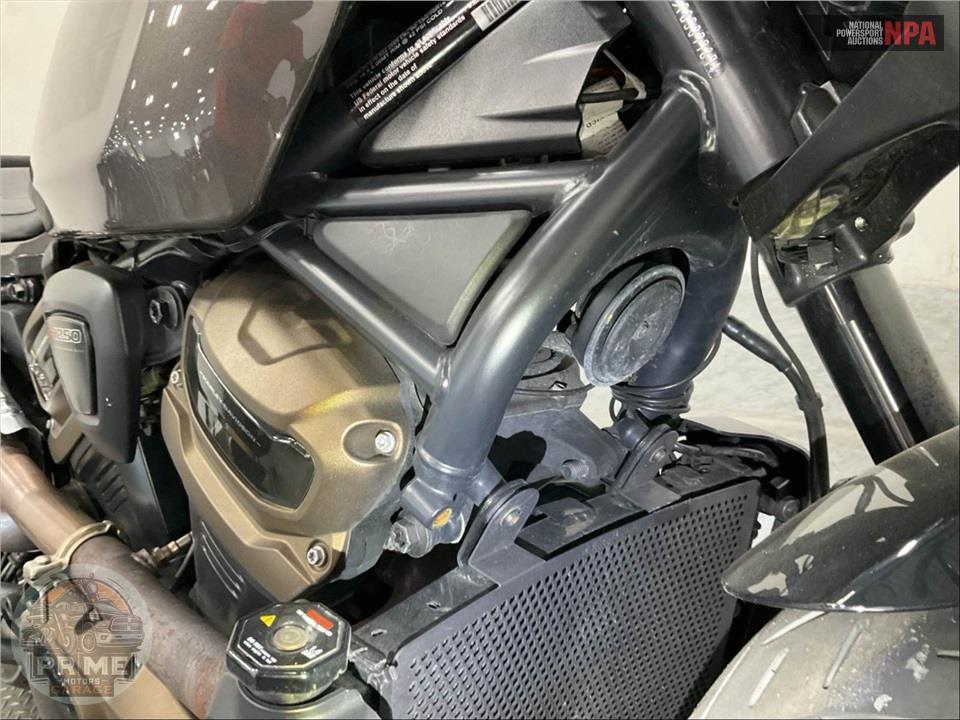 2023 Harley-Davidson RH1250S SPORTSTER S — фото 13