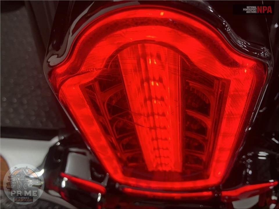 2018 Harley-Davidson FLDE DELUXE — фото 19