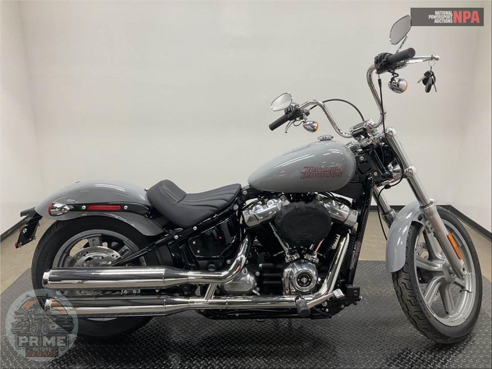 2024 Harley-Davidson FXST SOFTAIL STANDARD — фото 1