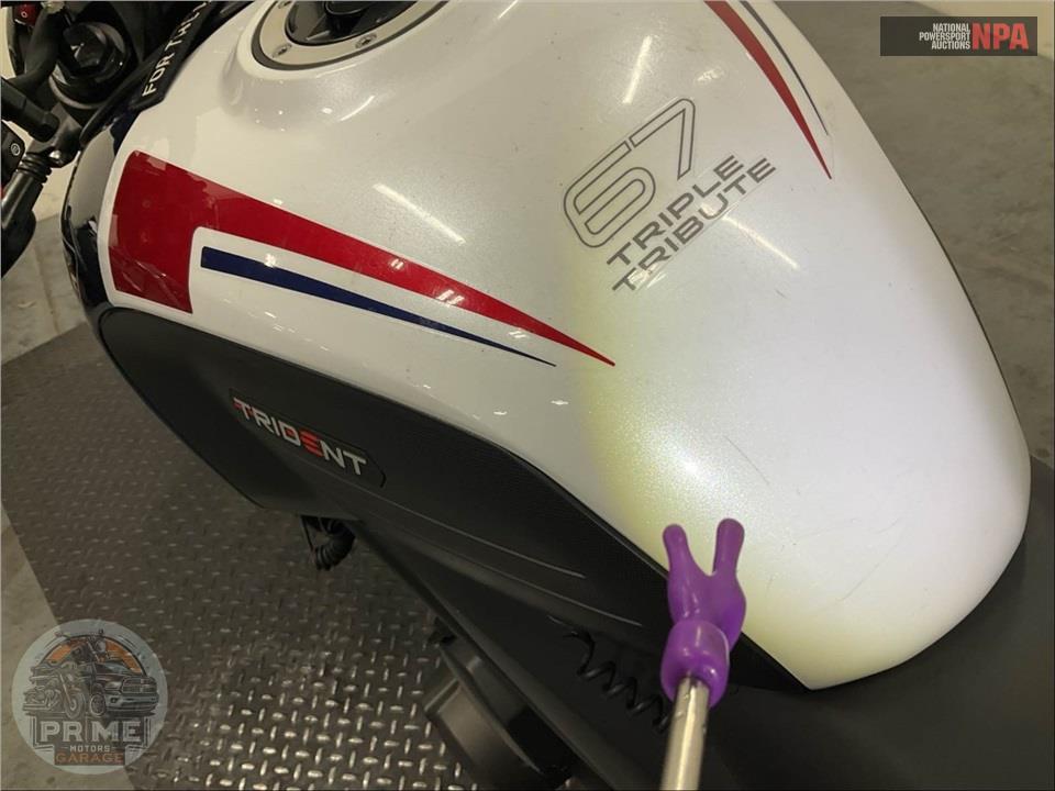 2025 Triumph TRIDENT 660 TRIPLE TRIBUTE EDITION — фото 17