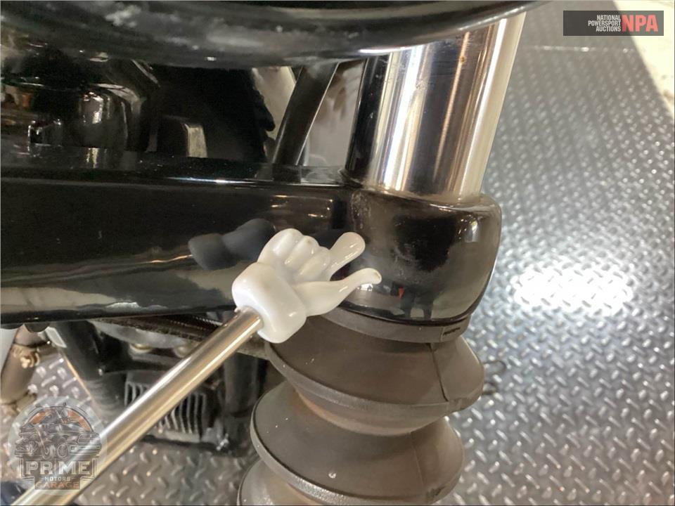 2020 Harley-Davidson XL1200NS IRON — фото 32
