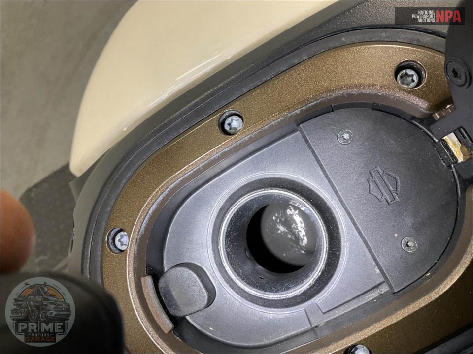 2022 Harley-Davidson RH1250S SPORTSTER S — фото 14