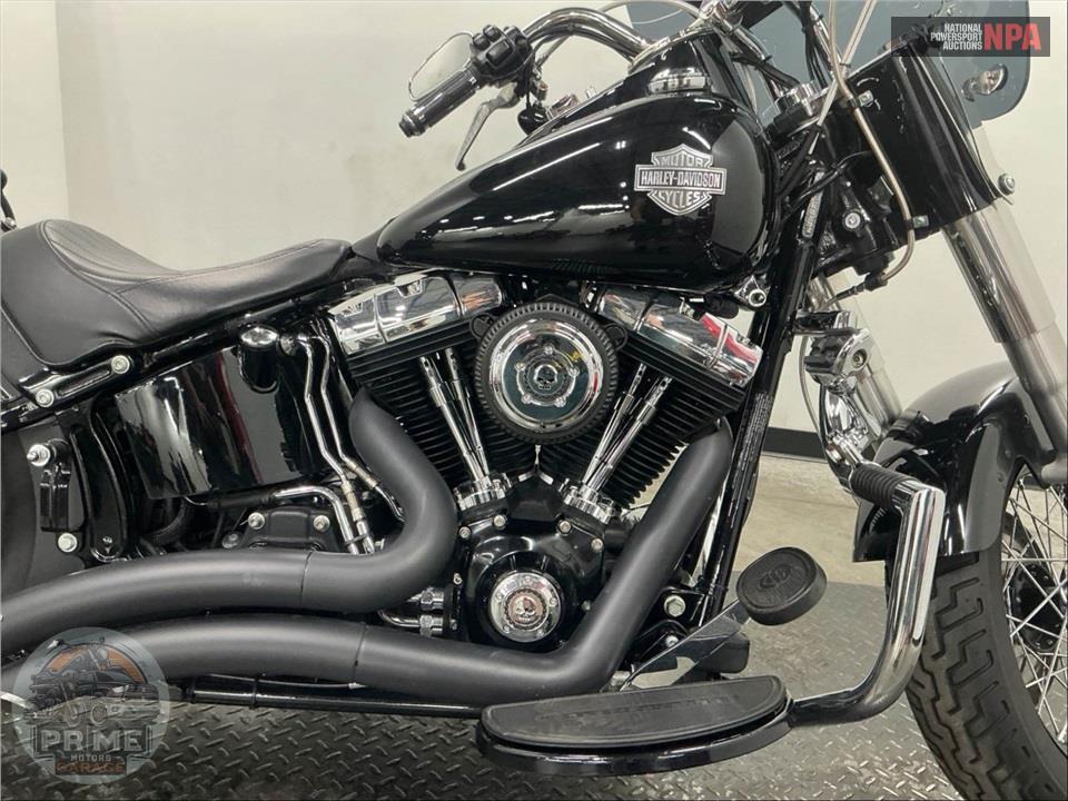 2014 Harley-Davidson FLS SOFTAIL SLIM — фото 6