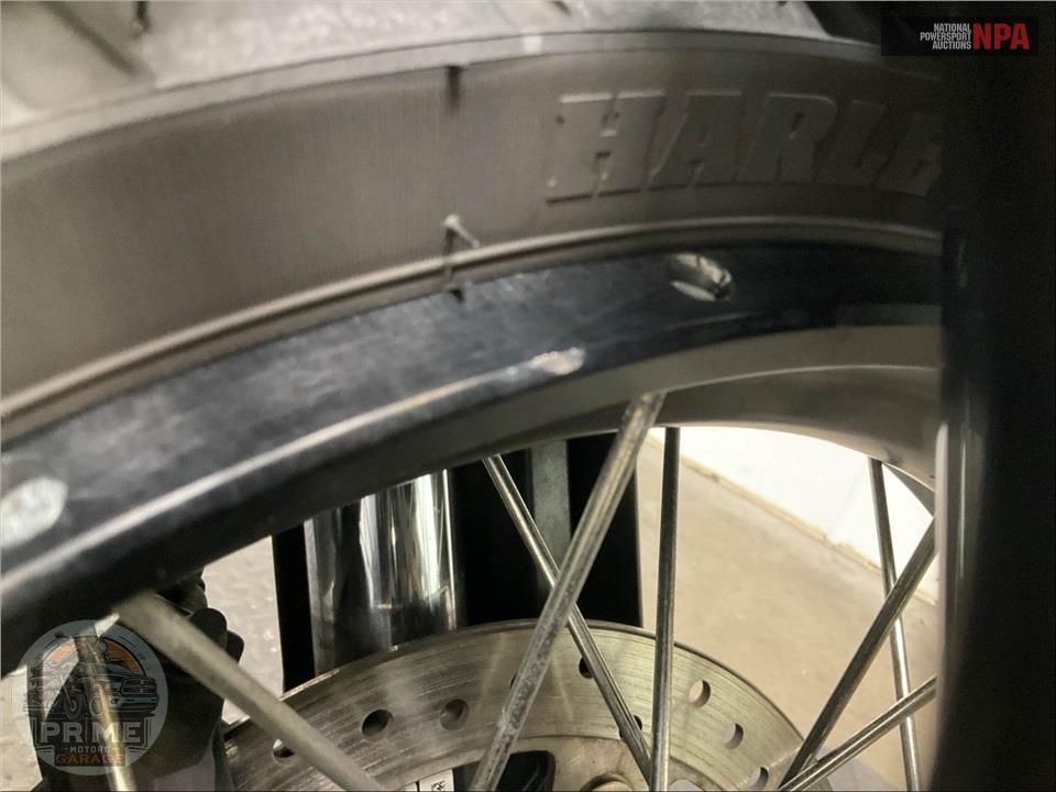 2021 Harley-Davidson RA1250S PAN AMERICA SPECIAL — фото 15