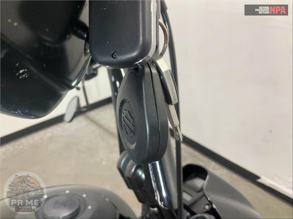 2019 Harley-Davidson FXDRS FXDR 114 — фото 12