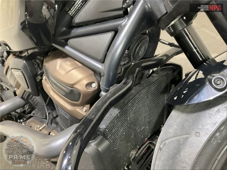 2024 Harley-Davidson RH1250S SPORTSTER S — фото 12