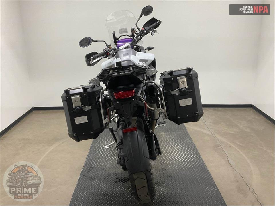 2025 Triumph TIGER 1200 GT PRO — фото 4
