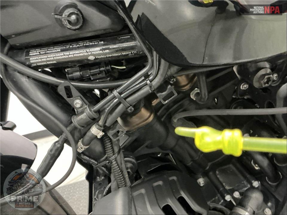 2022 Harley-Davidson RH1250S SPORTSTER S — фото 19