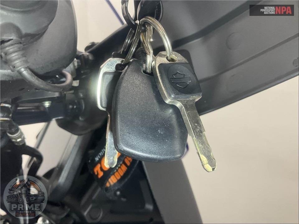 2022 Harley-Davidson RA1250S PAN AMERICA 1250 SPECIAL — фото 11