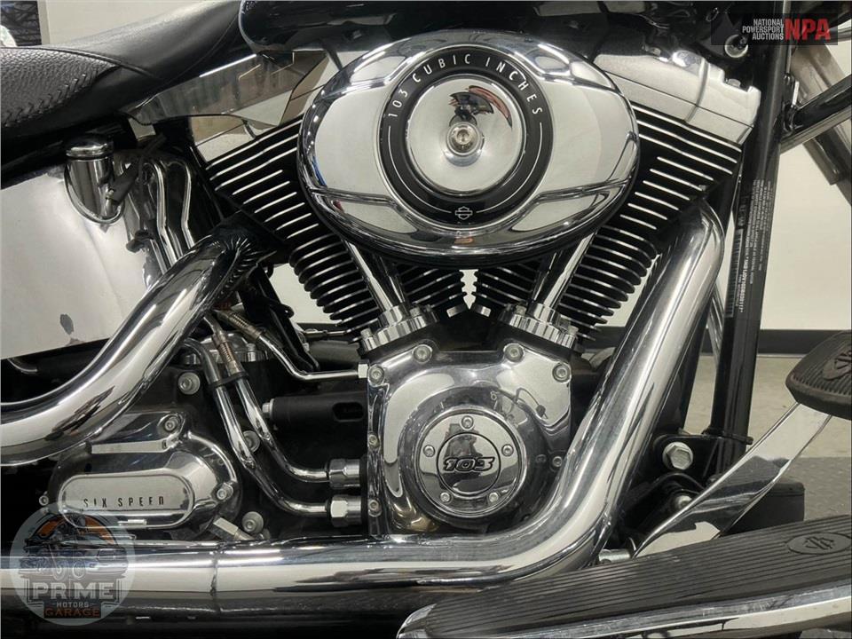 2013 Harley-Davidson FLSTN SOFTAIL DELUXE — фото 1
