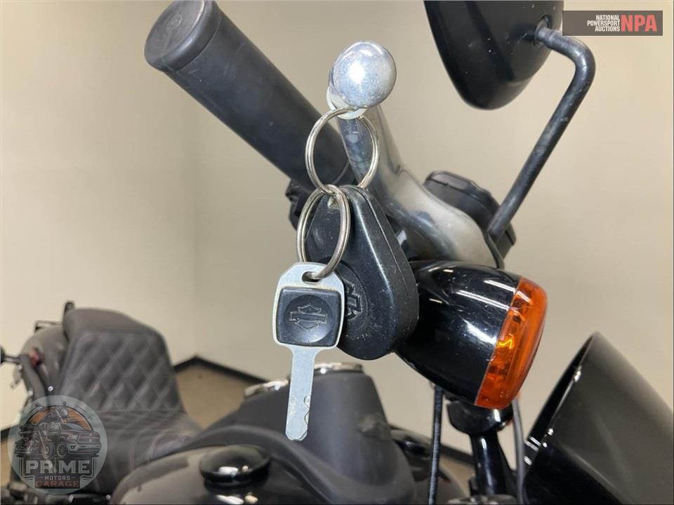 2021 Harley-Davidson FXLRS LOW RIDER S — фото 13