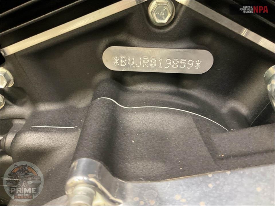 2024 Harley-Davidson FXST SOFTAIL STANDARD — фото 19