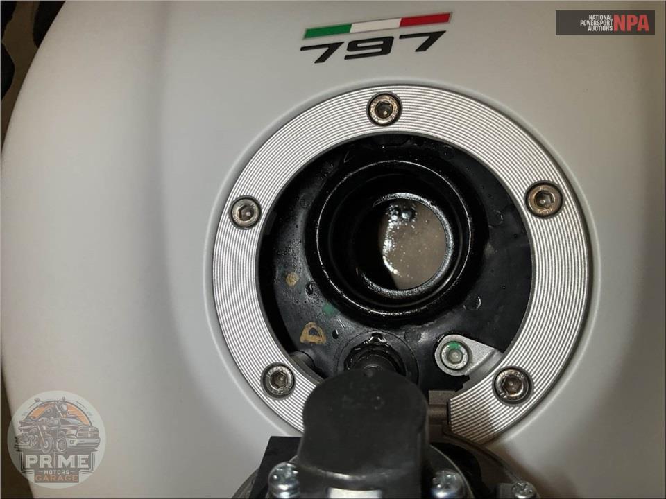 2020 Ducati MONSTER 797 PLUS (STAR WHITE SILK) — фото 14