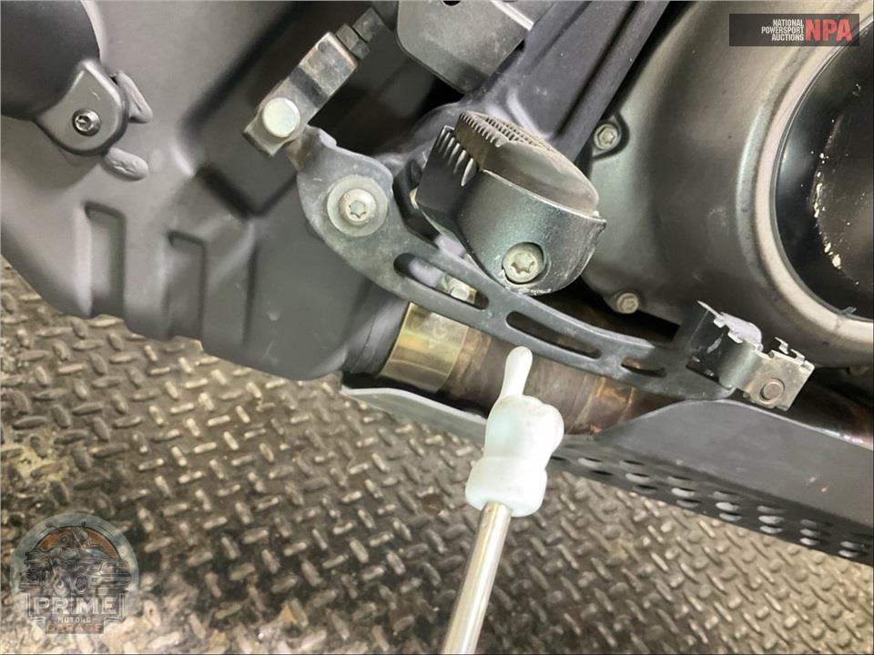 2023 Harley-Davidson RA1250S PAN AMERICA SPECIAL — фото 16