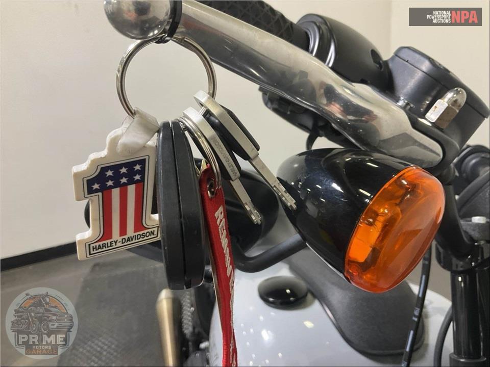 2024 Harley-Davidson FXLRS LOW RIDER S — фото 10