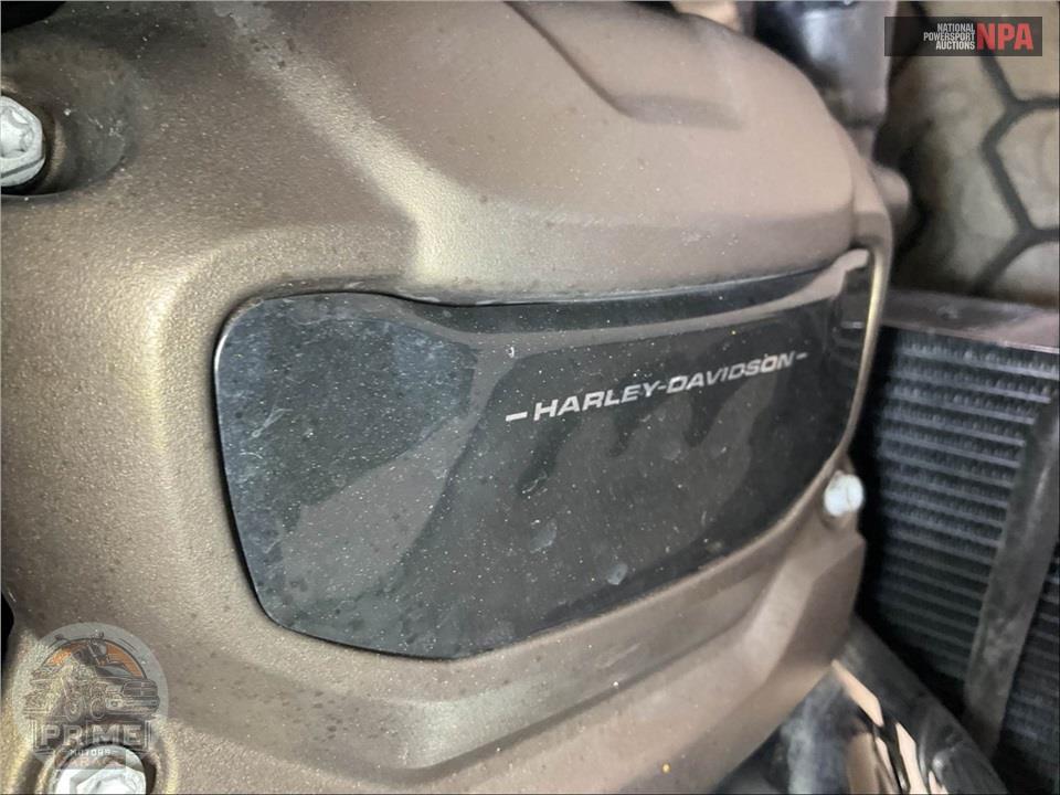 2022 Harley-Davidson RH1250S SPORTSTER S — фото 10