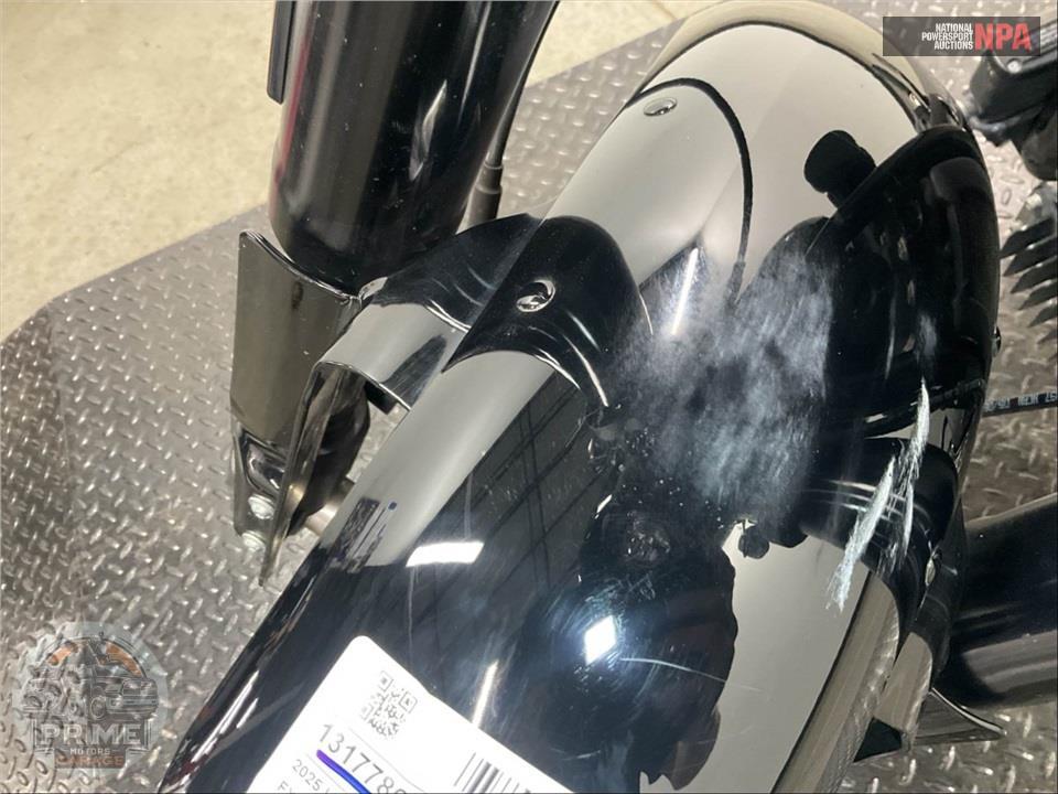 2025 Harley-Davidson FXLRS LOW RIDER S — фото 16