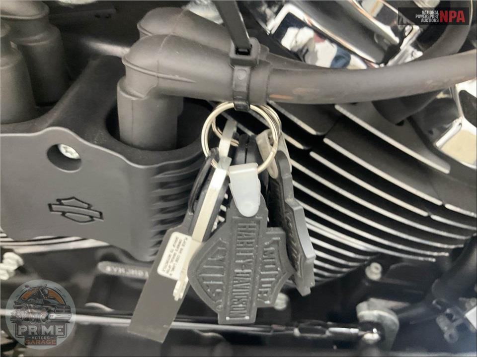 2021 Harley-Davidson FLSB SPORT GLIDE — фото 12