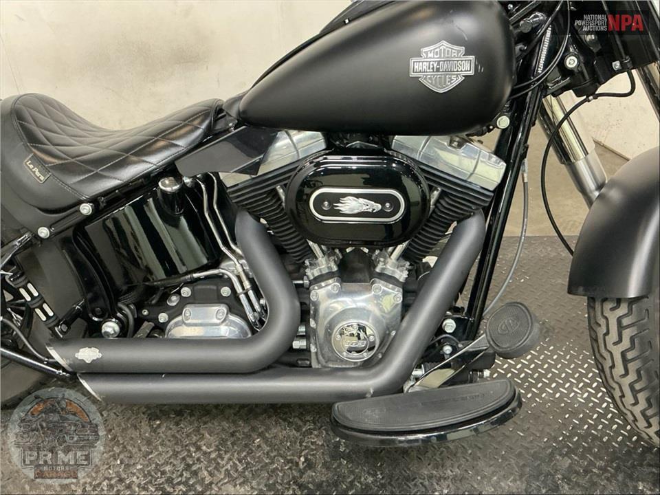 2013 Harley-Davidson FLS SOFTAIL SLIM — фото 6