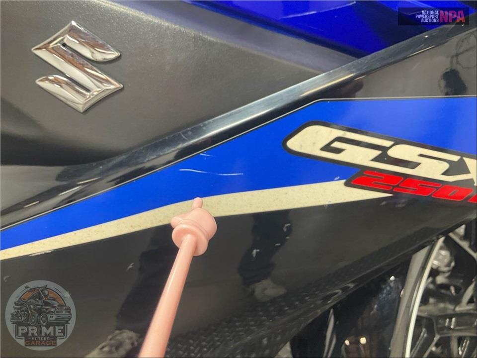 2022 Suzuki GSX250RAM2 (ABS) — фото 14