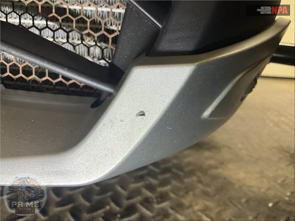 2020 Can-Am RYKER RALLY EDITION 900 ACE — фото 19