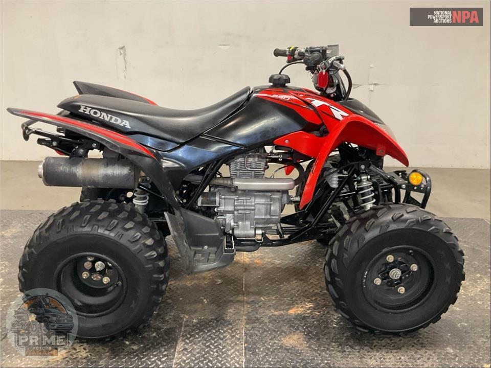 2024 Honda TRX250X — фото 1