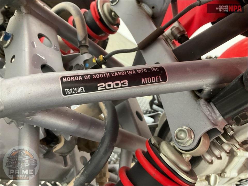 2003 Honda TRX250EX3 SPORTRAX EX — фото 32