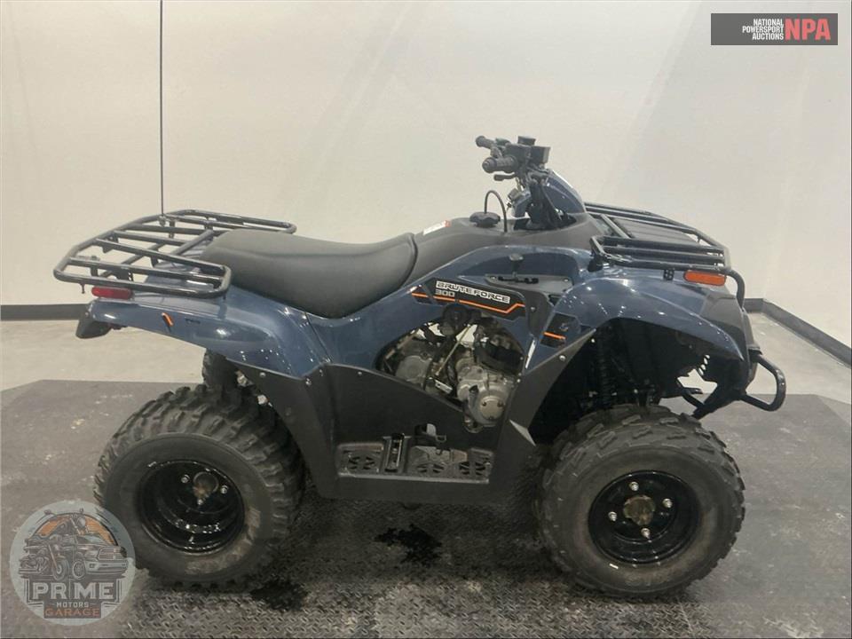 2025 Kawasaki KVF300CSFNN BRUTE FORCE 300 — фото 1