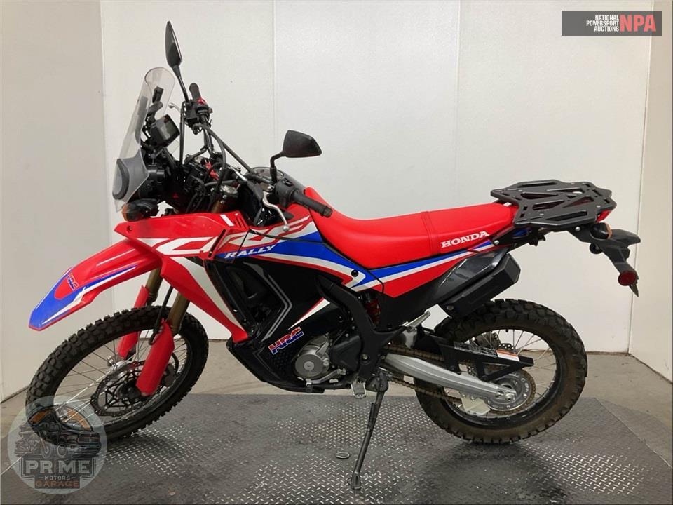 2024 Honda CRF300L RALLY — фото 3