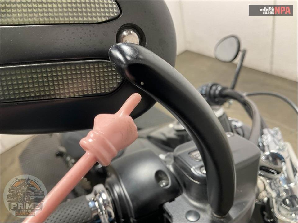 2020 Harley-Davidson FLSL SOFTAIL SLIM — фото 20