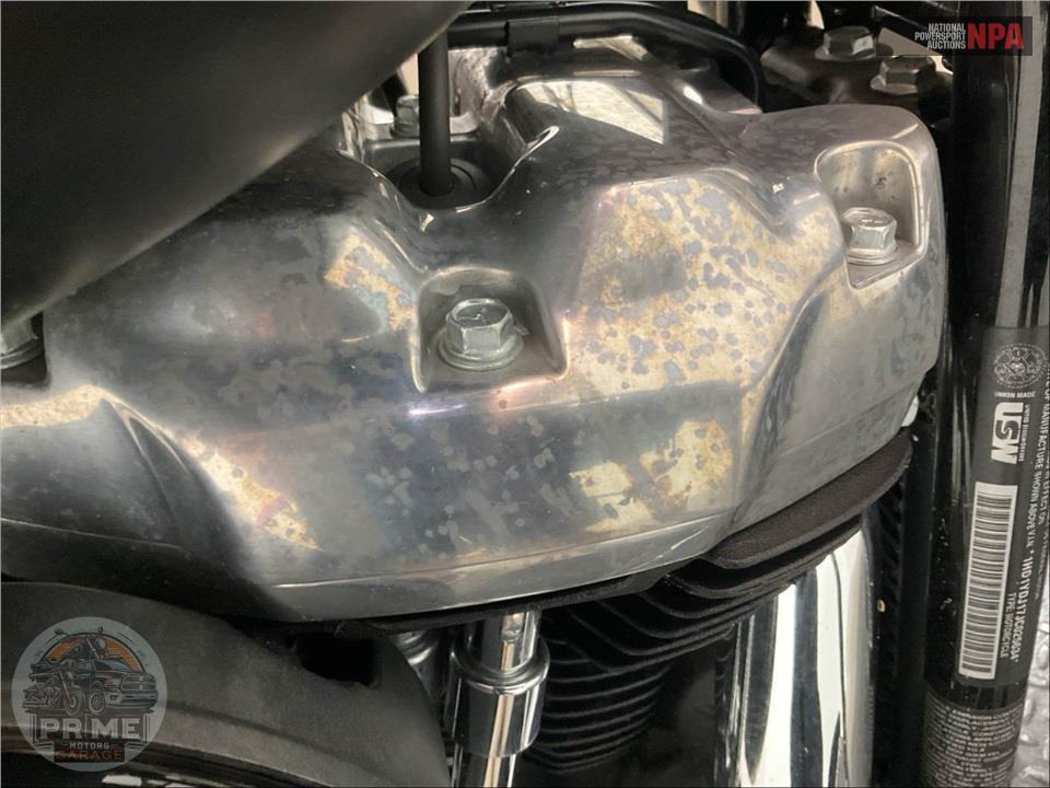 2018 Harley-Davidson FLSL SOFTTAIL SLIM — фото 10