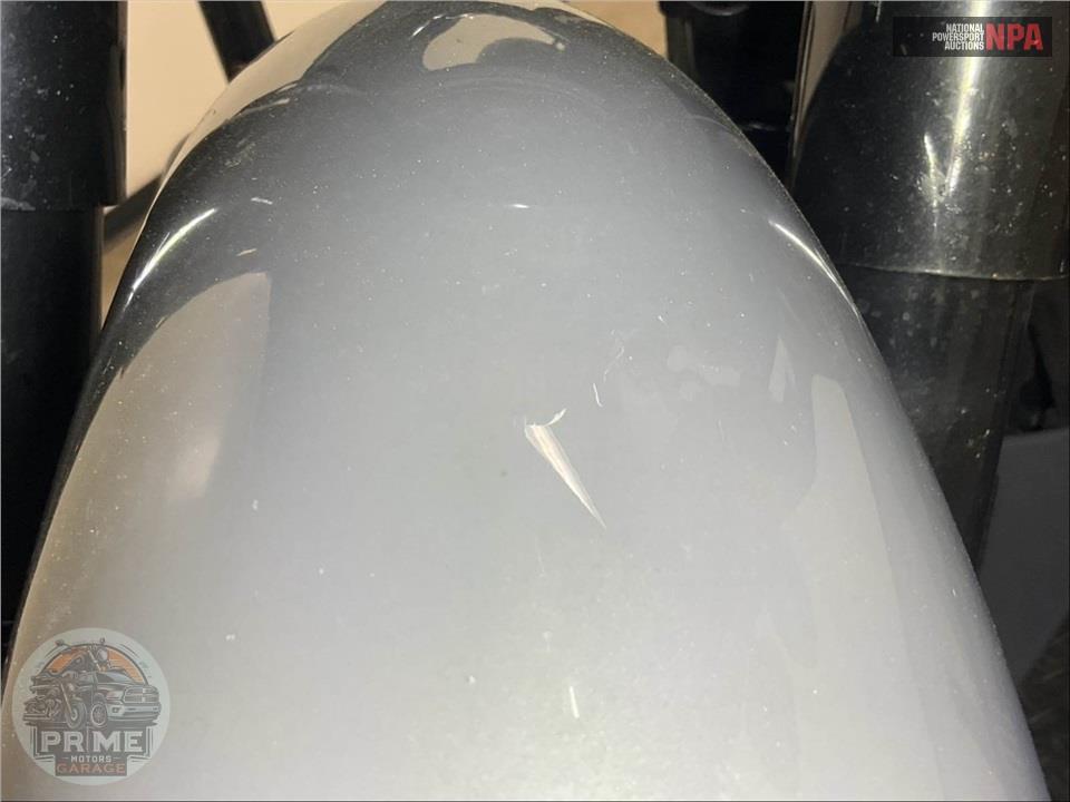 2018 Harley-Davidson FLTRXSE CVO ROAD GLIDE — фото 14