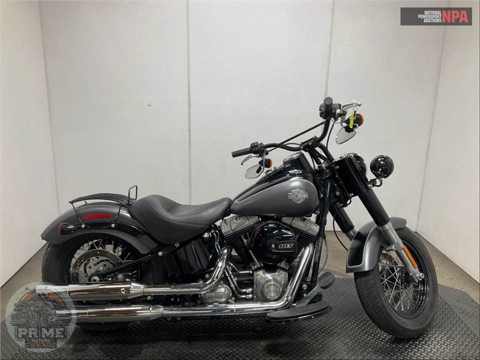 2016 Harley-Davidson FLS SOFTAIL SLIM — фото 1