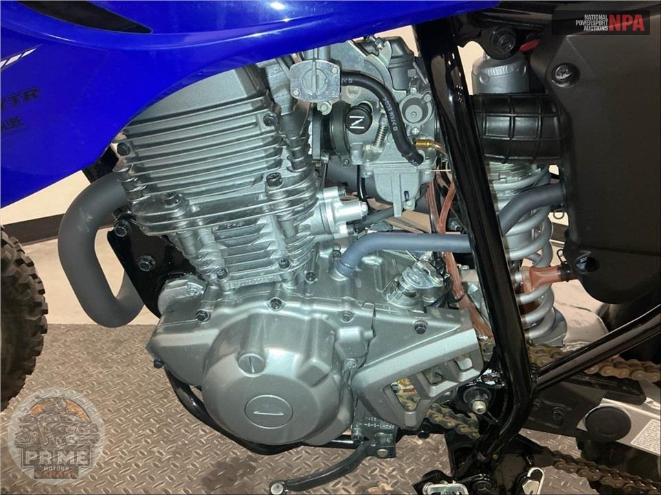 2025 Yamaha TT-R230 — фото 7