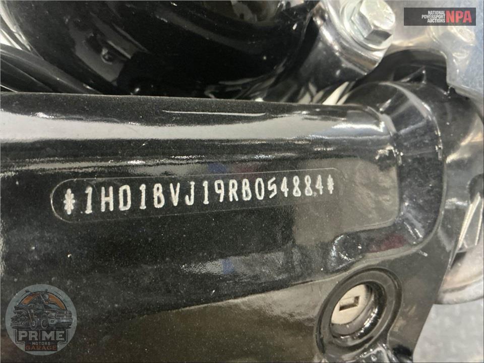 2024 Harley-Davidson FXST SOFTAIL STANDARD — фото 22