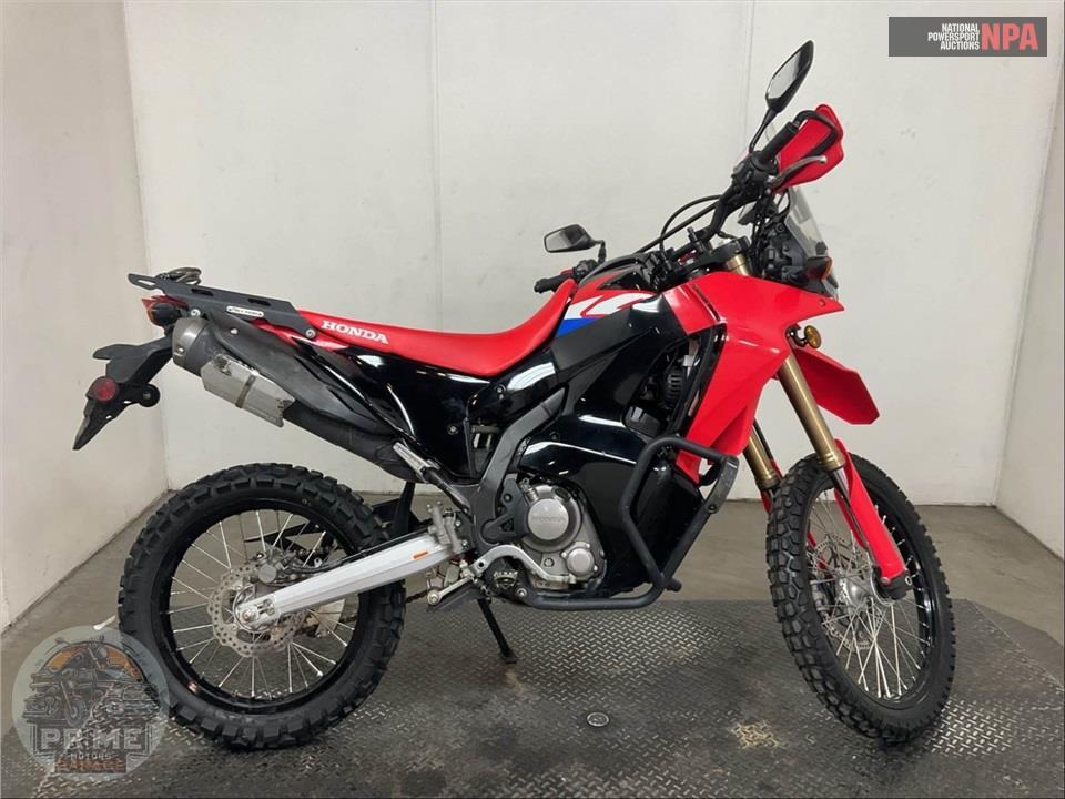 2024 Honda CRF300L RALLY — фото 1