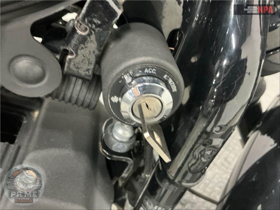 2020 Harley-Davidson XL1200NS IRON — фото 12