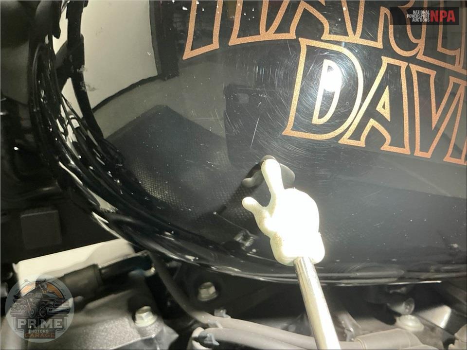 2021 Harley-Davidson FXLRS LOW RIDER S — фото 32